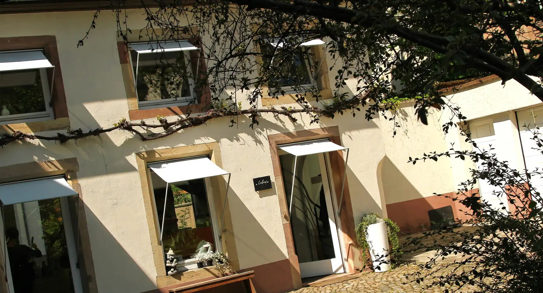 La petite maison du salon dans la cour